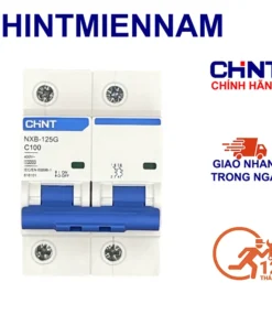 APTOMAT 2 PHA 100A CHINT