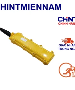 nut nhan cau truc 6 nut chint